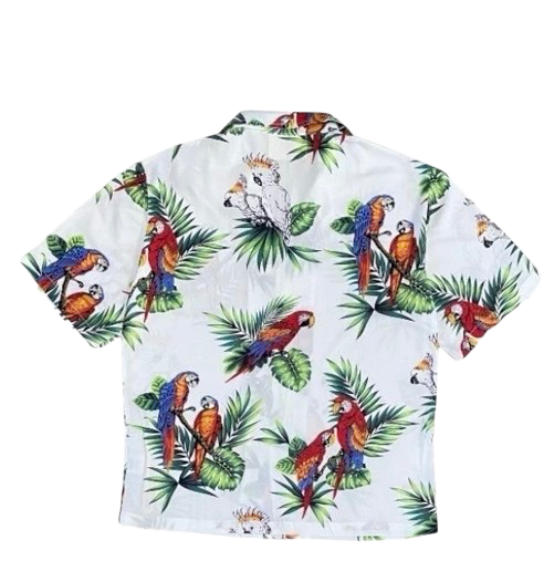 Camisa Hawaiana Over Lapa