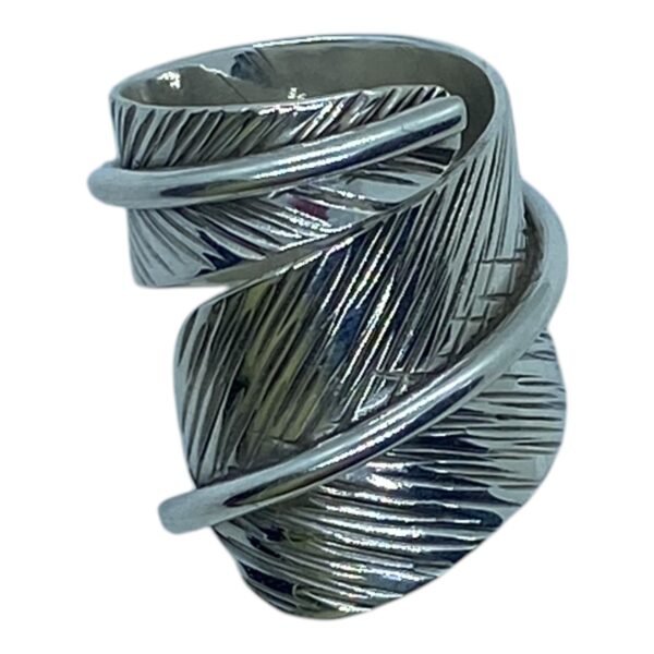 Anillo Pluma continua